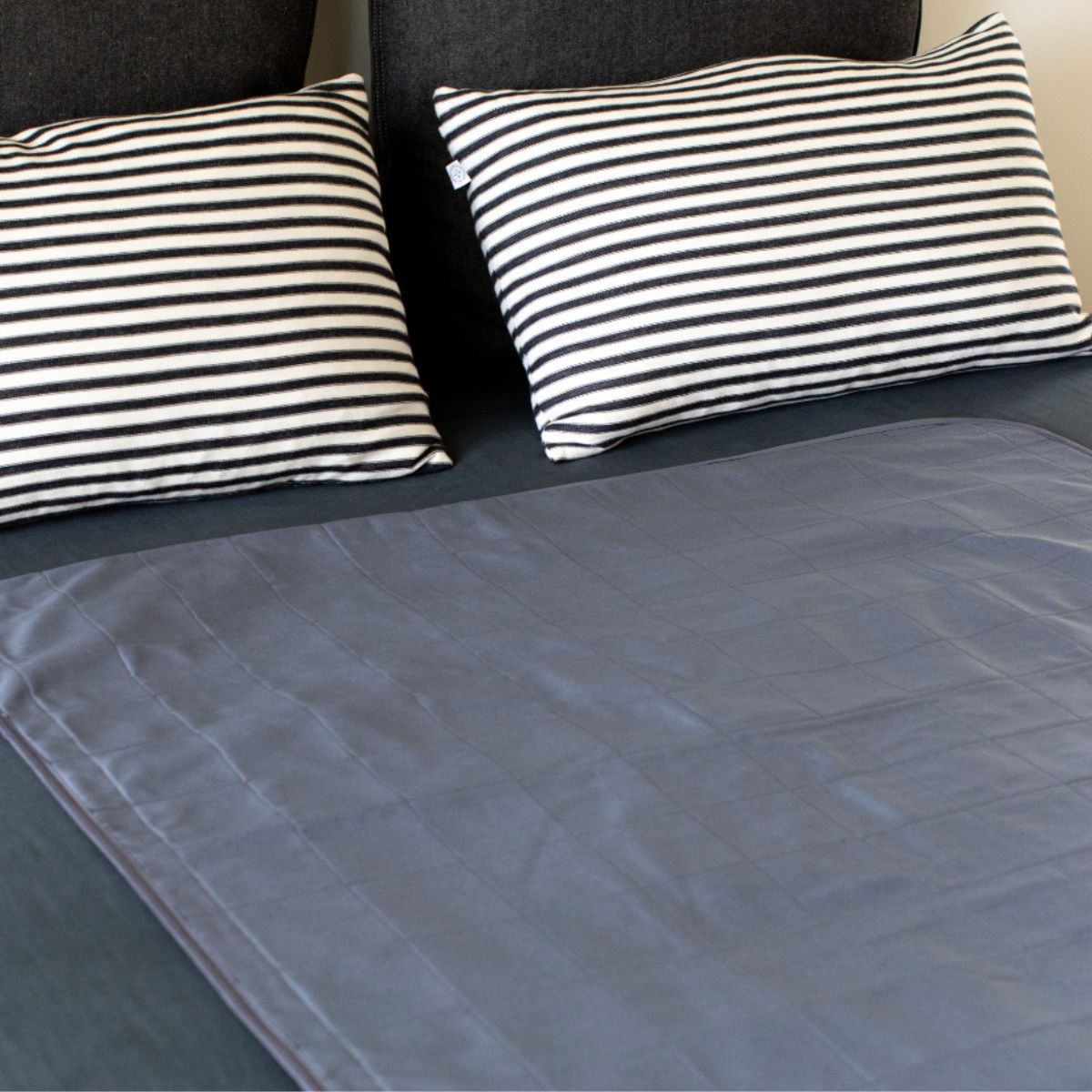 סדינית סופגת של ברולי, בצבע אפור